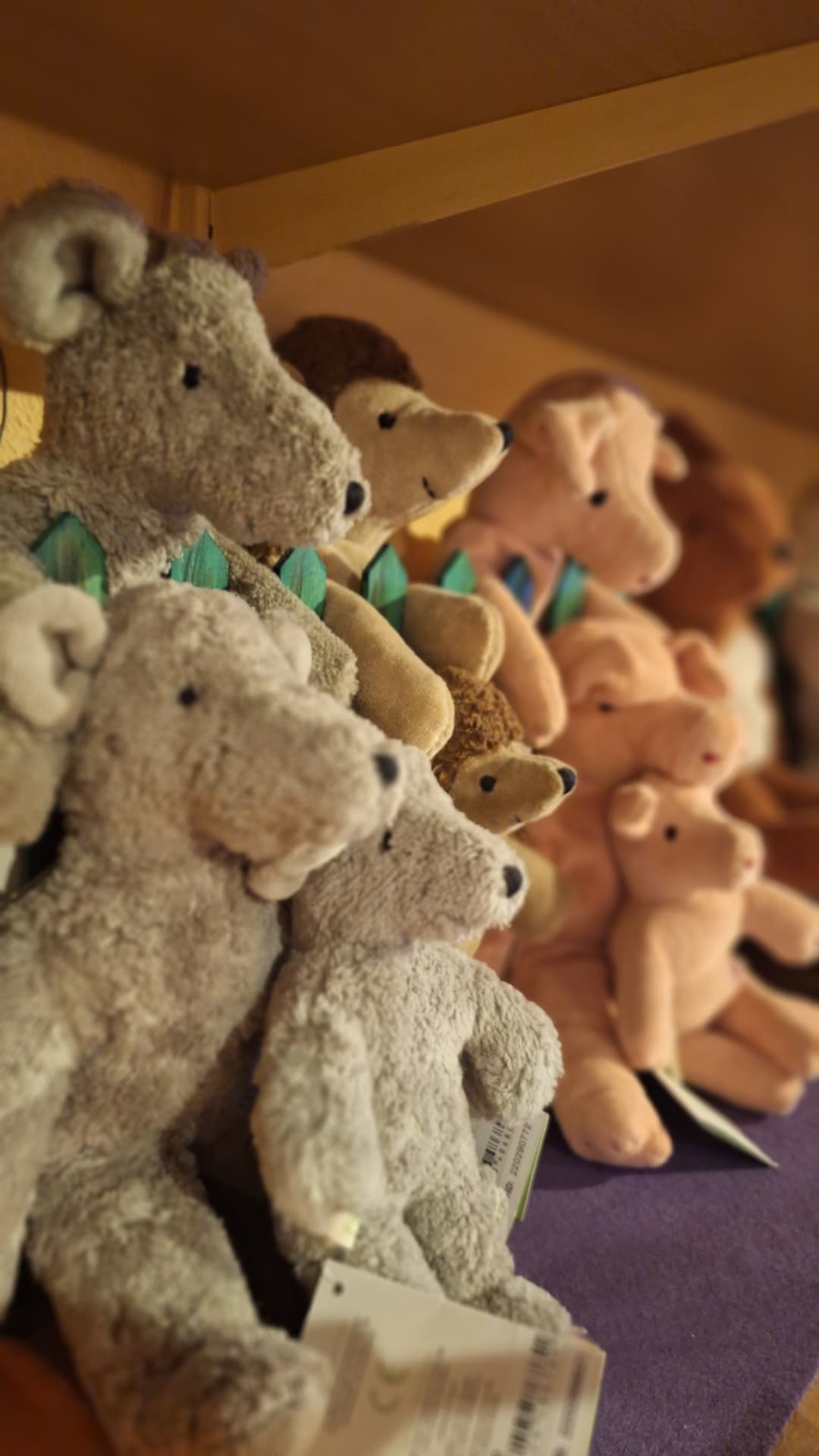 Rangée de peluches Senger en laine naturelle chez Luxiol