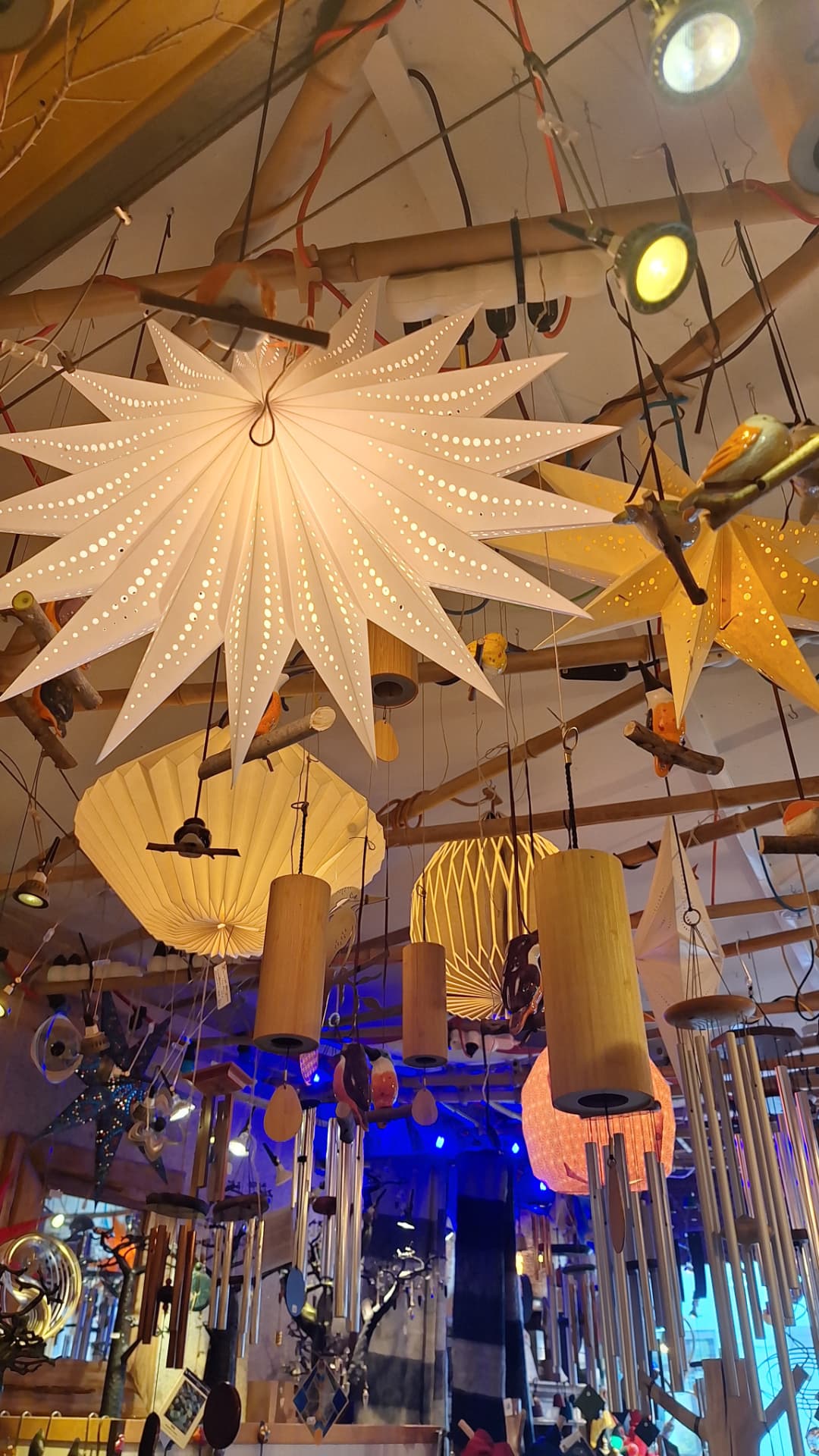 Plafond couvert d'étoiles lumineuses et de suspensions en bambou chez Luxiol