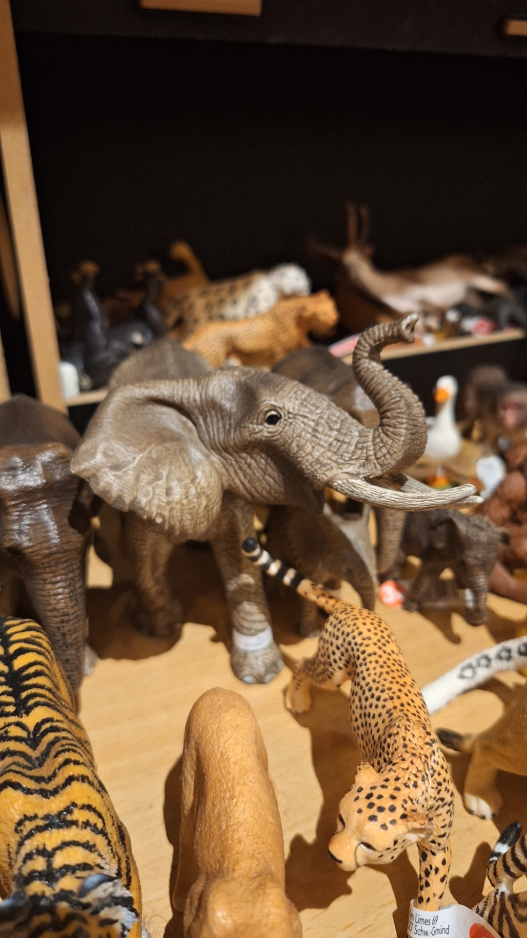 Sélection Animaux chez Luxiol